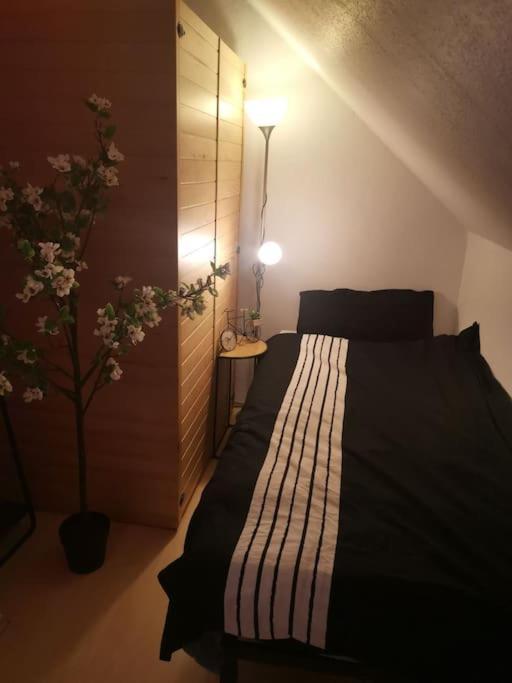 Wohnung Am Kurpark Mit Privater Innensauna & Led! Schluesselbox ボッパルト エクステリア 写真